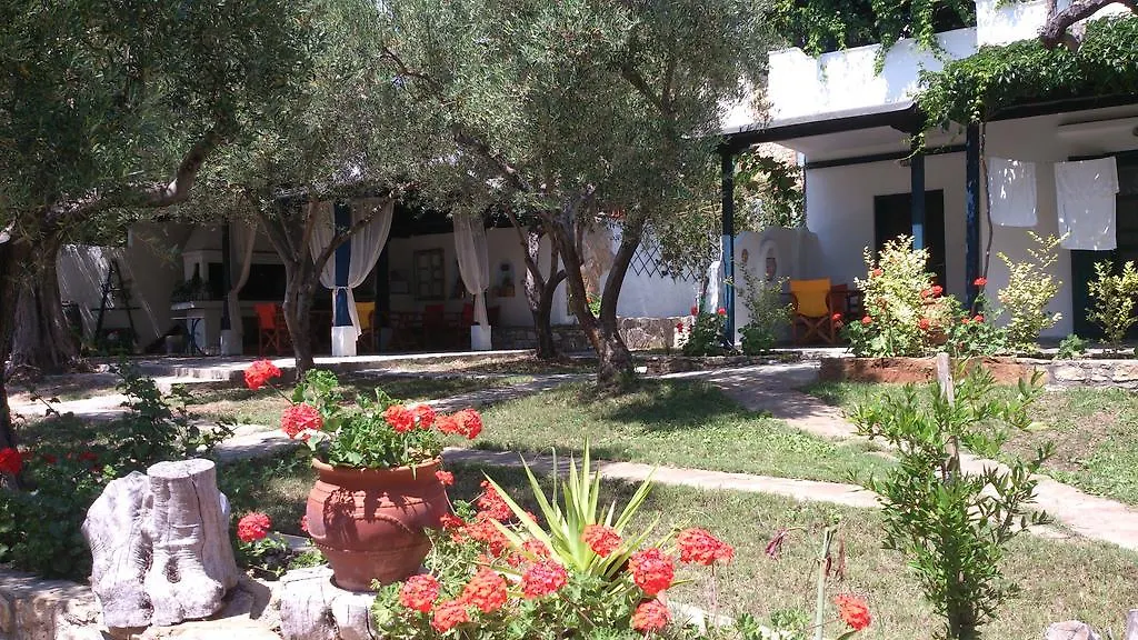 Olive House Apartment Elia Nikitis Greece