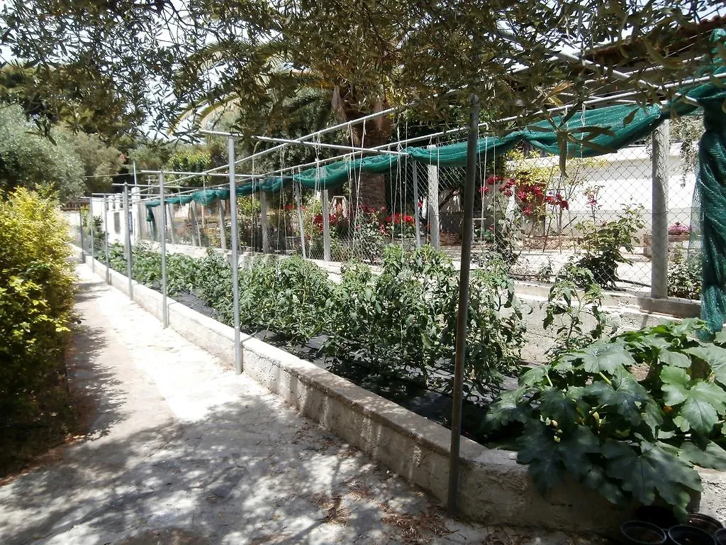 Olive House Apartment Elia Nikitis 0*,  Greece